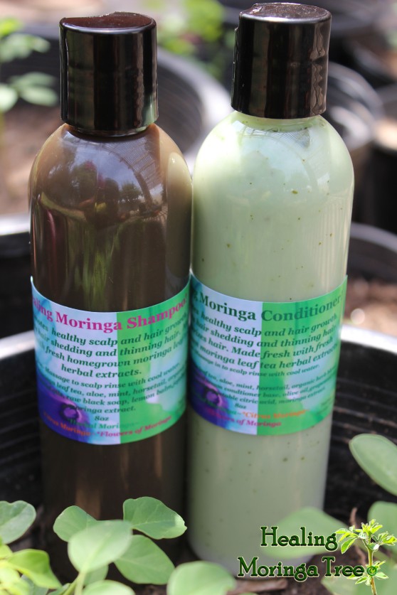 moringa shampoo and conditioner