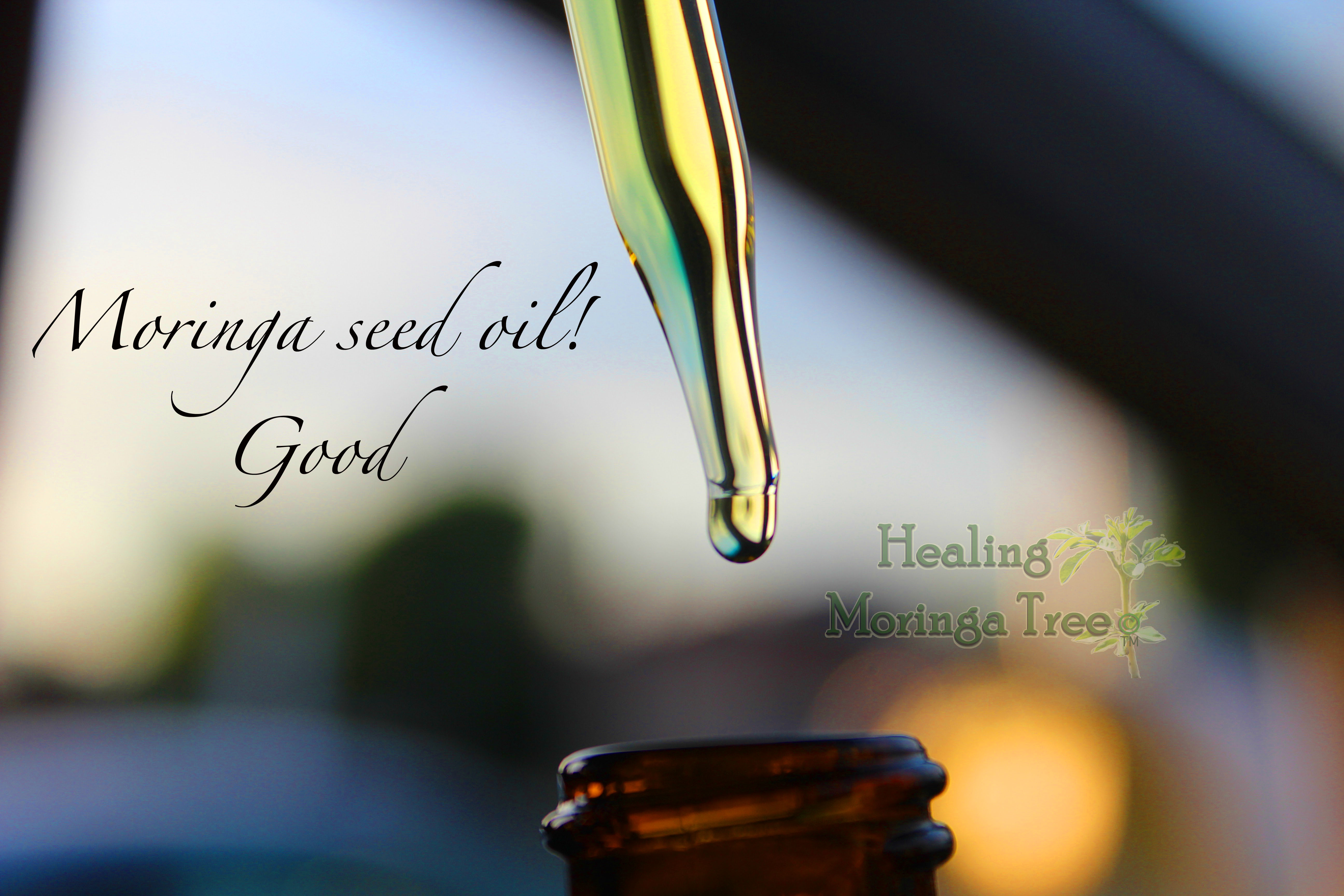 FREE GIVEAWAY~1oz Organic pure Moringa seed oil!