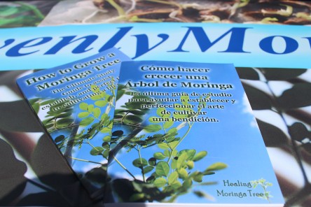 How to grow a moringa tree Book