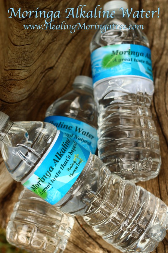 Moringa Alkaline Water! From a 12-Stage Osmosis water purification system that distributes alkaline pH levels at a 9-10.  Water that redeems your taste buds from how nasty all the other waters are." The added Moringa only intensifies the strength by perfecting a quality water with the needed nutrition.   Order Moringa Alkaline Water Here!